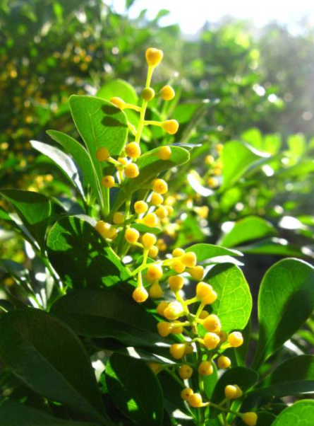 耐酸磚，盲道磚，陶瓷透水磚源頭生產(chǎn)廠家到底適不適合參加展會(huì)